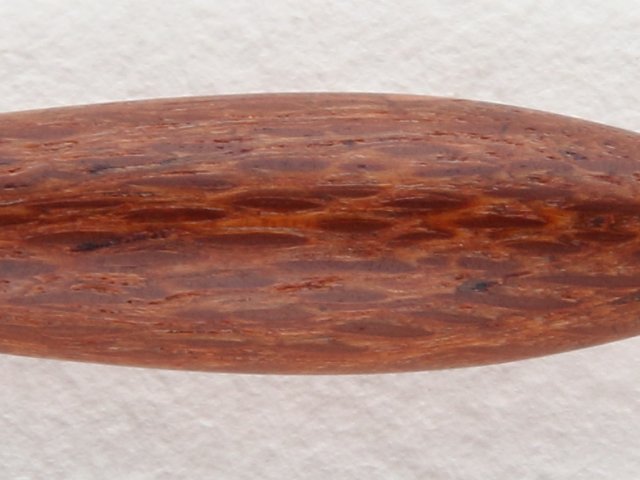 Leopardwood